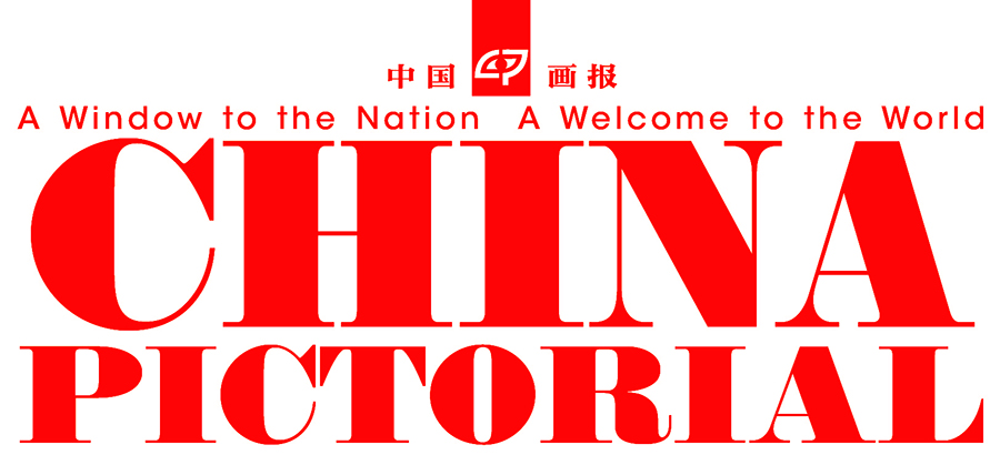 Logo website